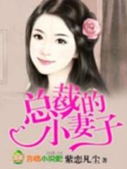 总裁的小妻子
