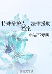 特殊辩护人:法律援助档案